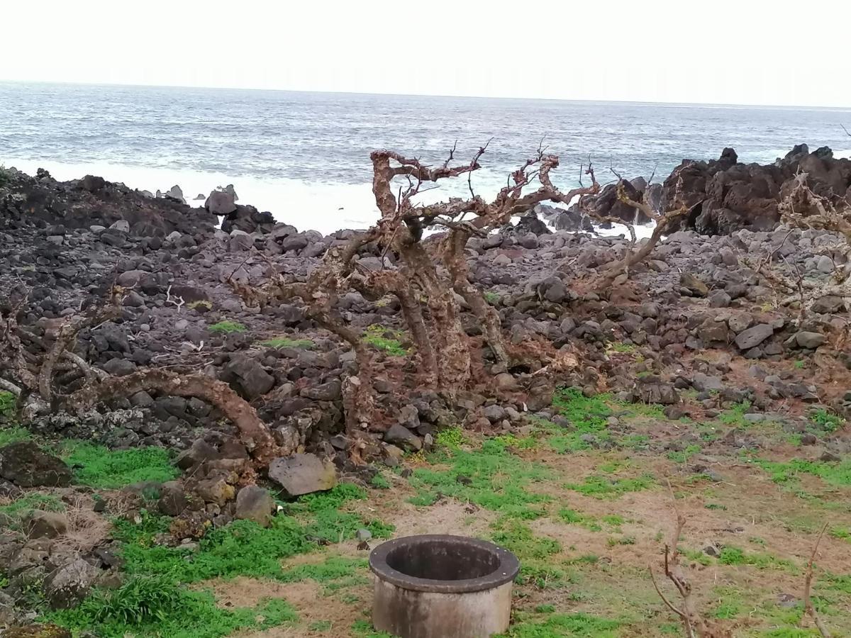 A Casa Da Formosinha Villa Madalena  Kültér fotó