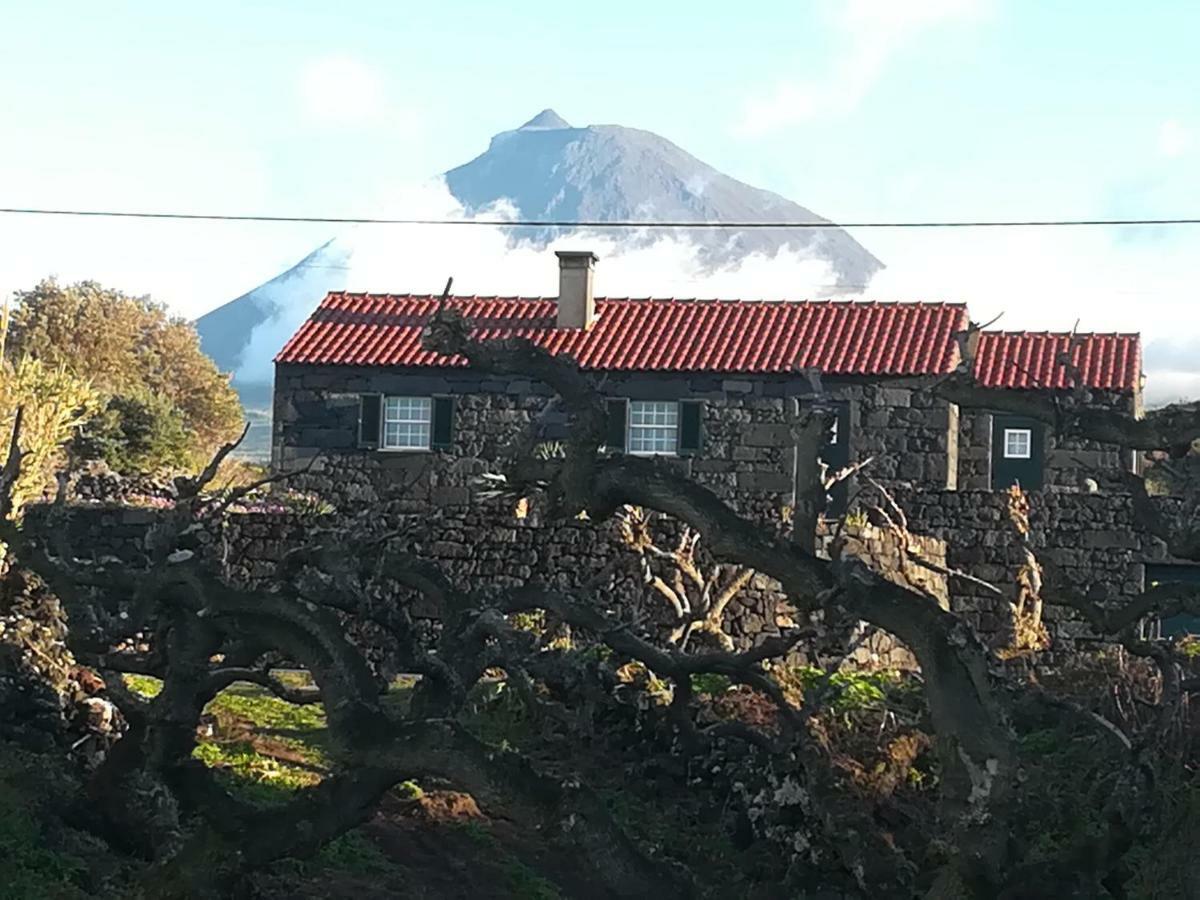 A Casa Da Formosinha Villa Madalena  Kültér fotó