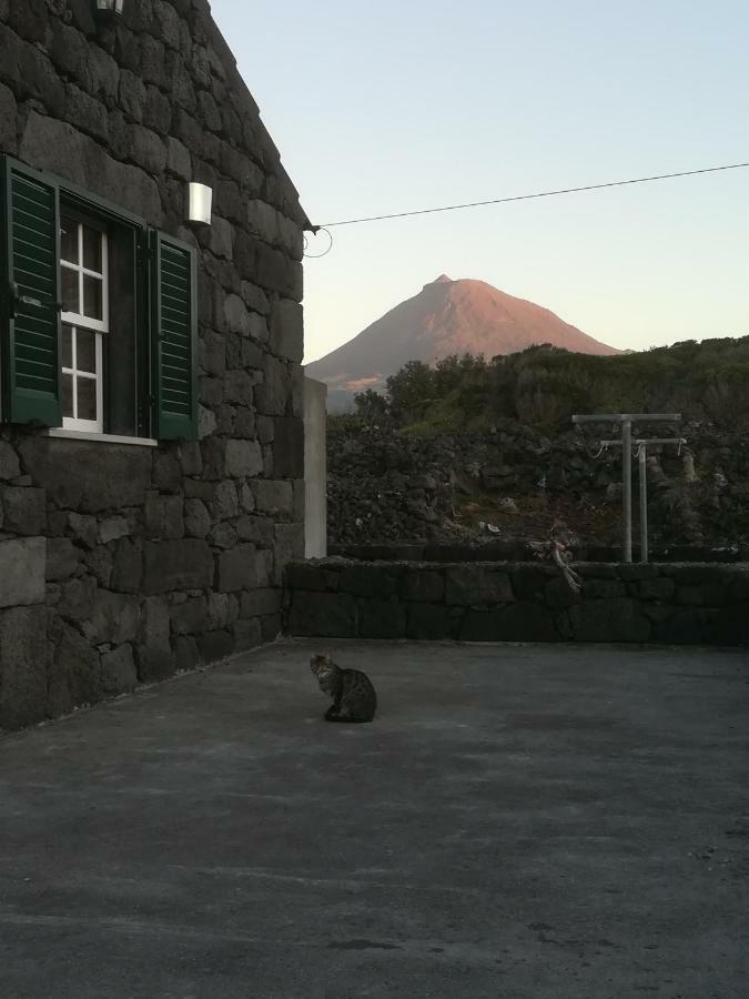 A Casa Da Formosinha Villa Madalena  Kültér fotó